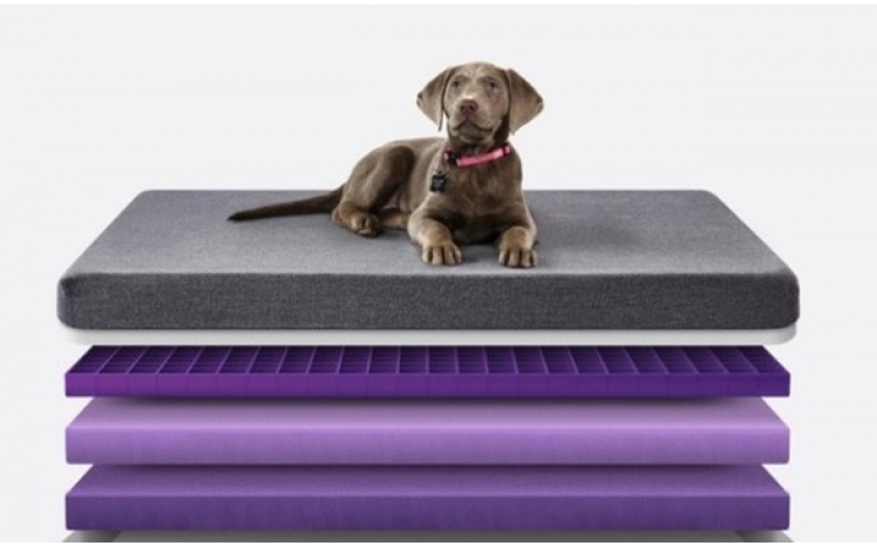 老人睡得香 老年床墊的特性及兩大選購(gòu)法